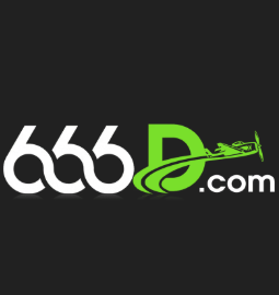 666D Game icon