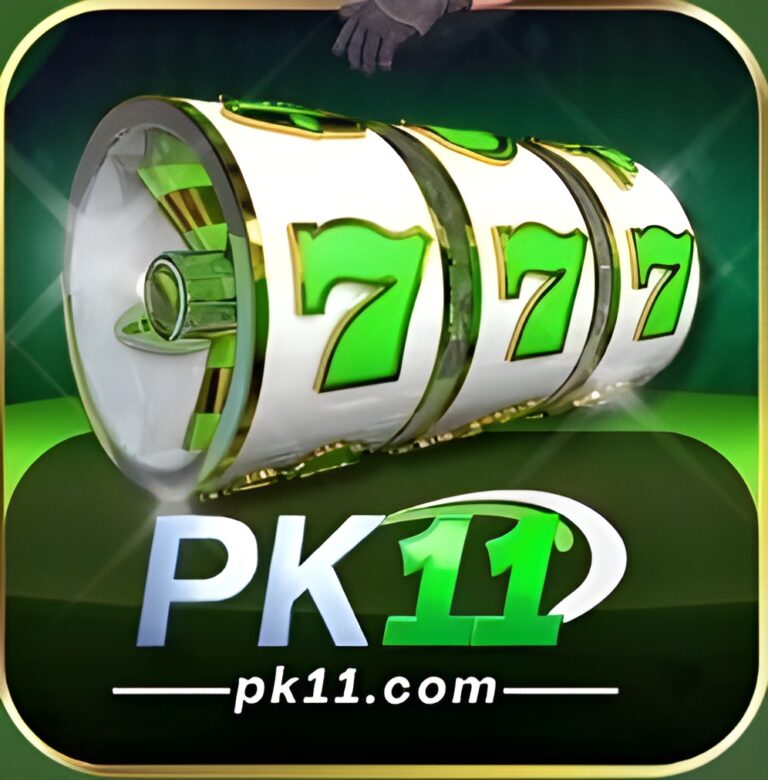 pk11 game icon